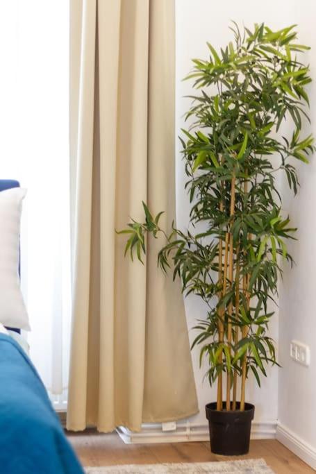 Opera Central Suite 3Br W Sauna By Newave Apartments บูดาเปสต์ ภายนอก รูปภาพ